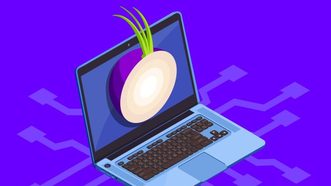 Image of laptop and Tor onion network vector illustration