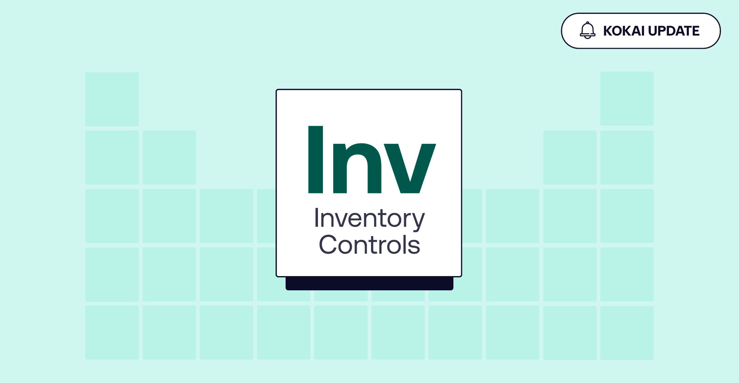 Inventory Controls branding graphic highlighting ad inventory management within The Trade Desk platform.