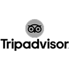 Tripadvisor Logo